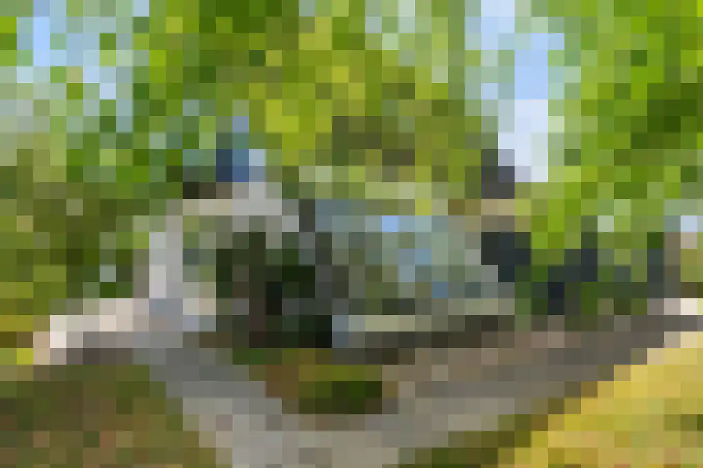 De Koarte Ekers 1 Dronryp thumbnail 50