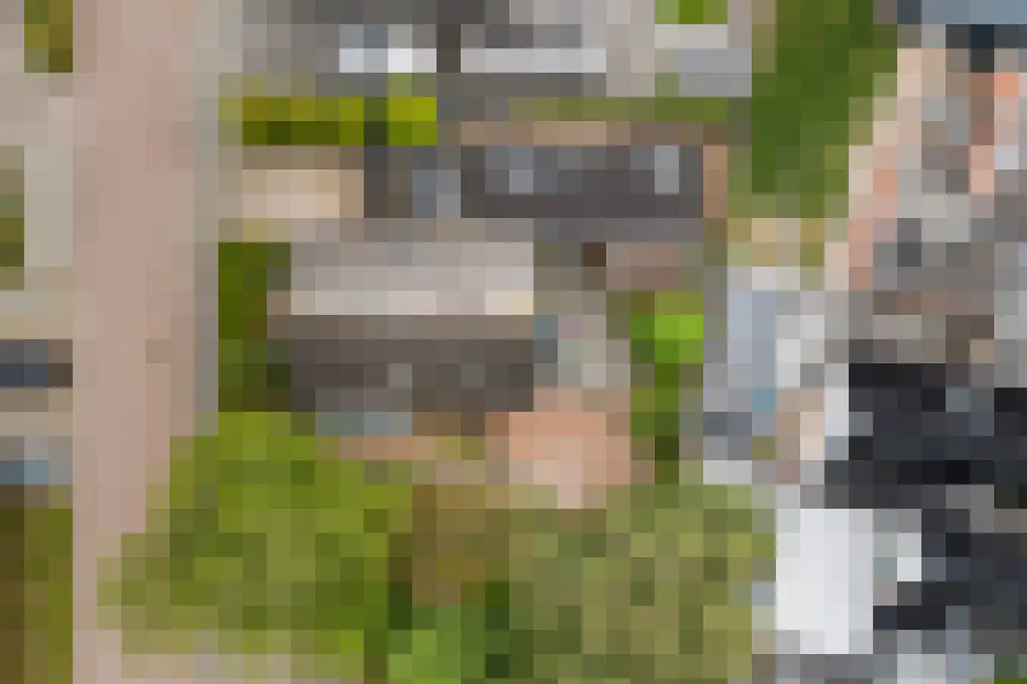 De Koarte Ekers 1 Dronryp thumbnail 55