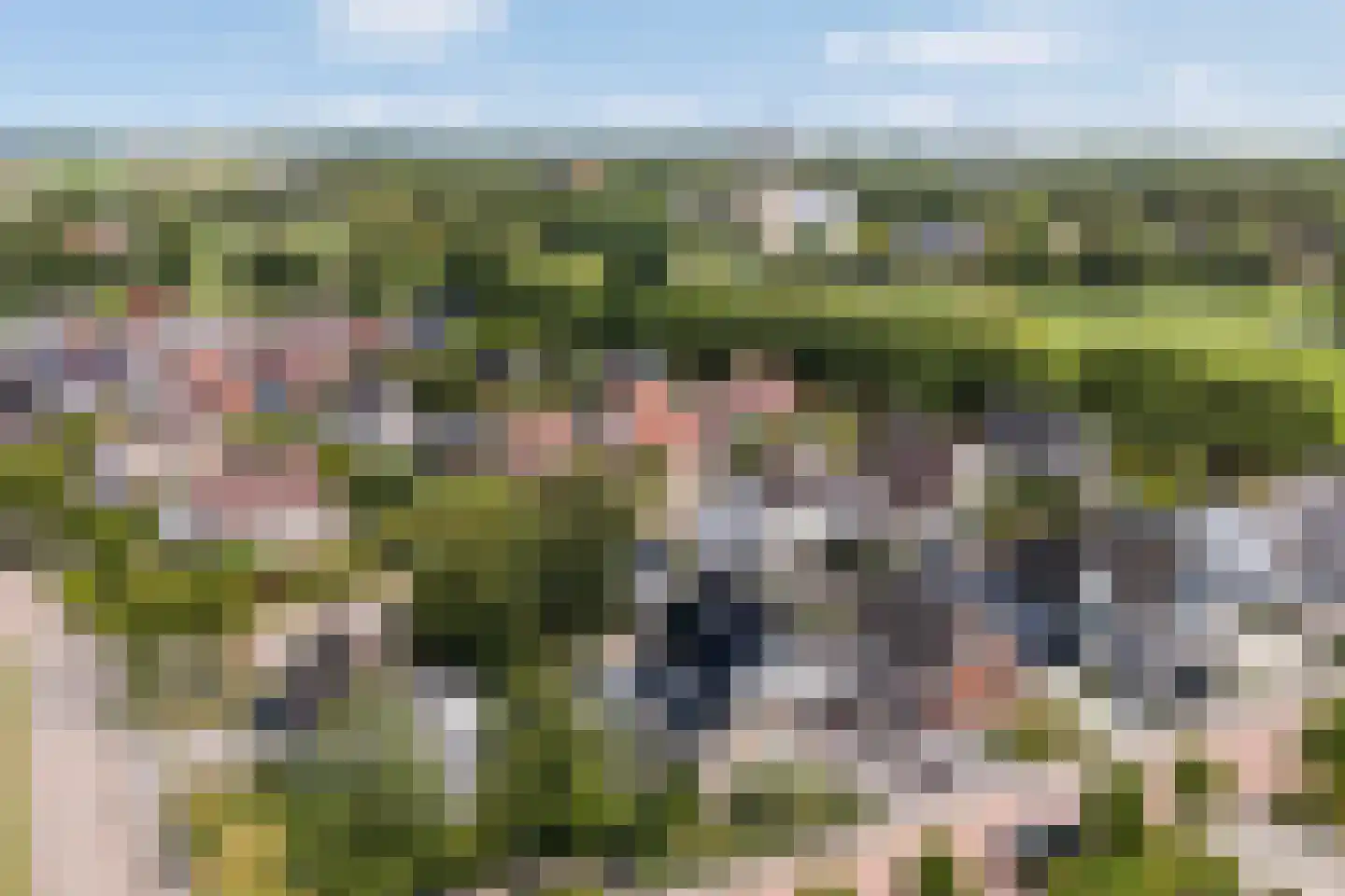 De Koarte Ekers 1 Dronryp thumbnail 58