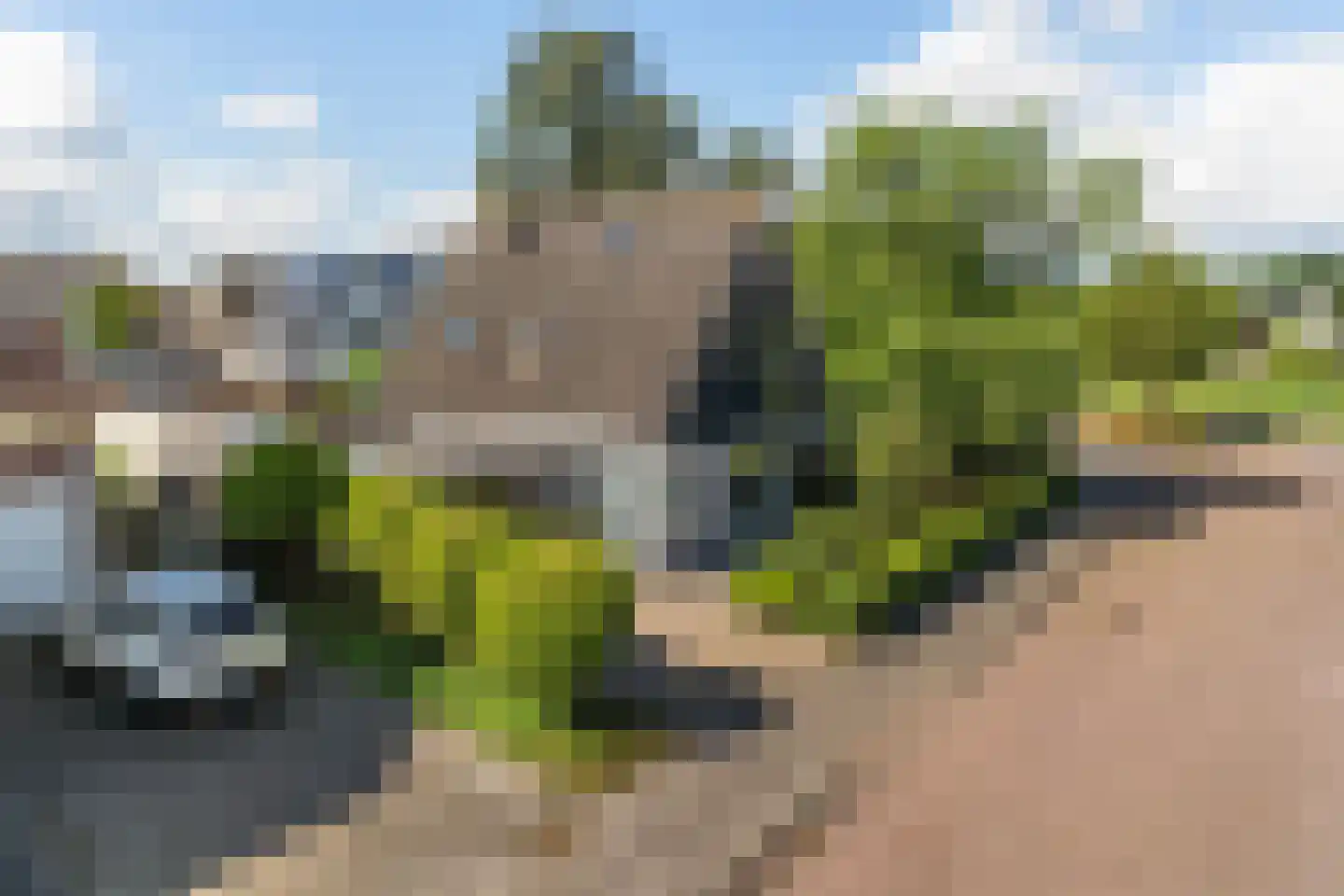De Koarte Ekers 1 Dronryp thumbnail 60