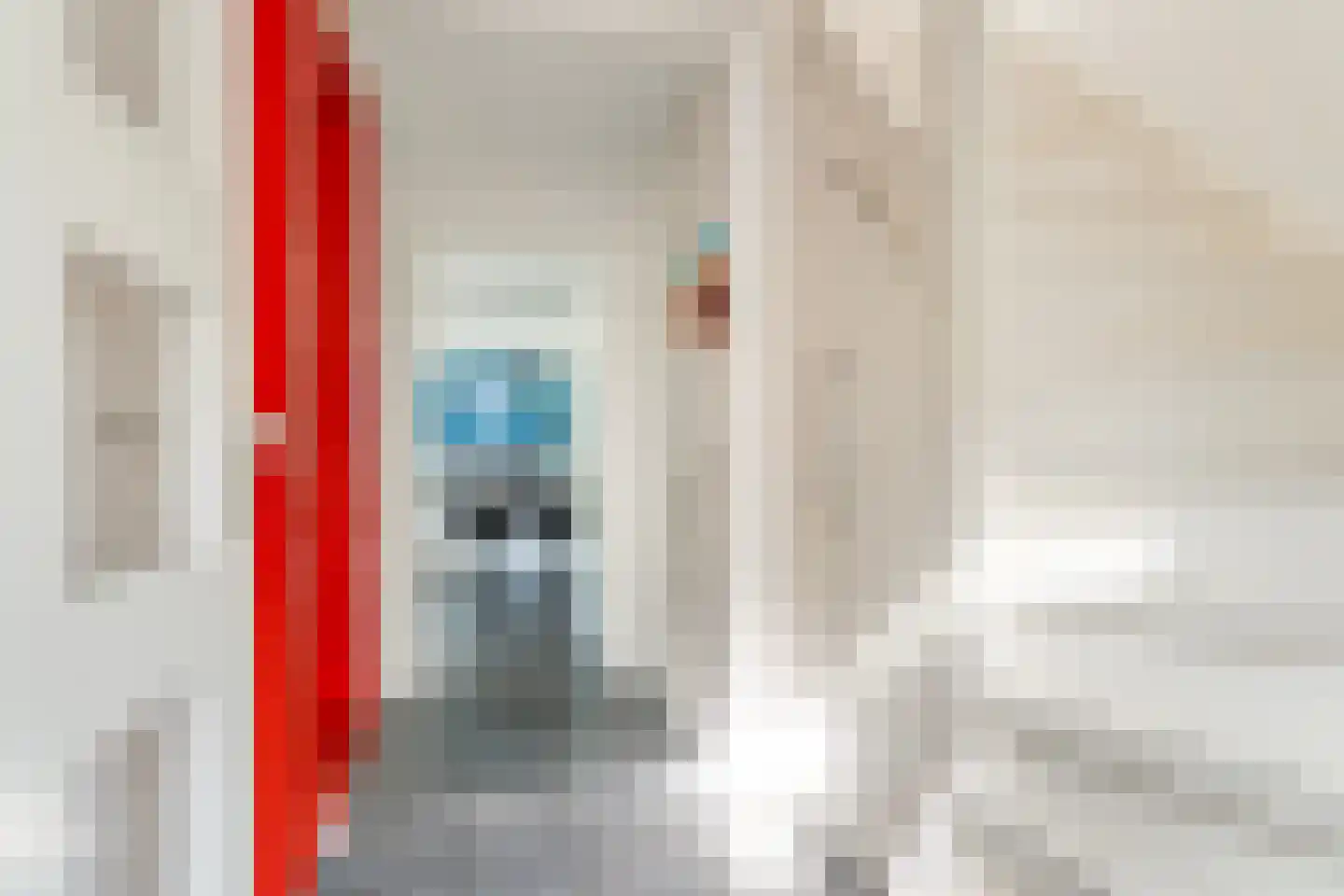 De Koarte Ekers 1 Dronryp thumbnail 8