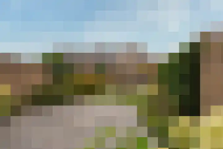 De Koekel 48 Woudenberg thumbnail 11