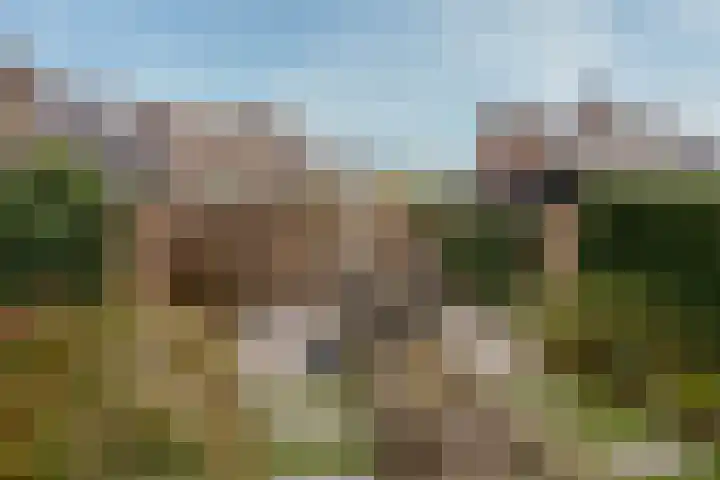 De Koekel 48 Woudenberg thumbnail 12