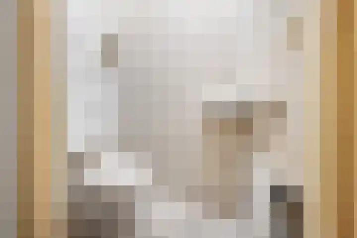 De Koel 31 Klazienaveen thumbnail 18