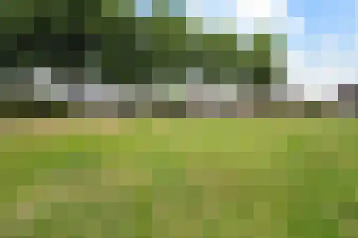 De Koel 31 Klazienaveen thumbnail 33
