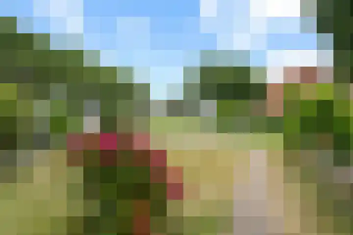 De Koel 31 Klazienaveen thumbnail 34