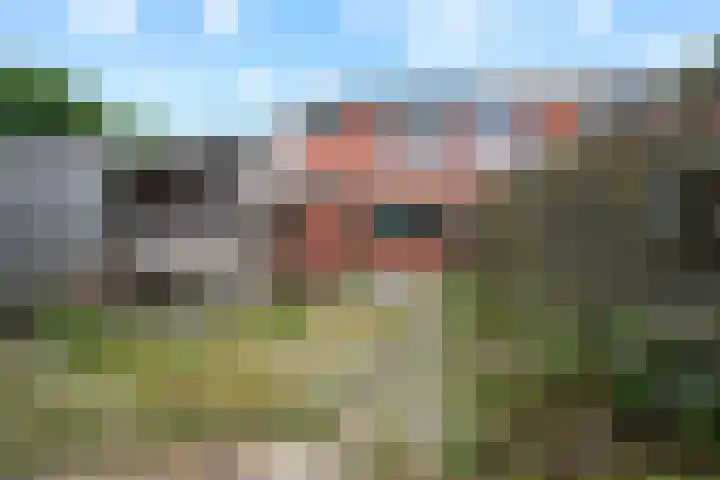 De Koel 31 Klazienaveen thumbnail 38