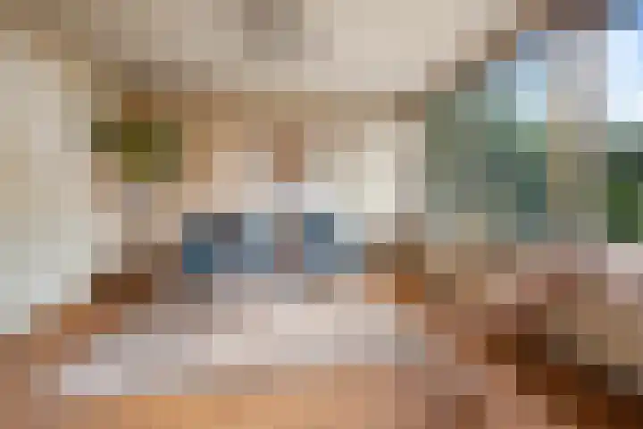 De Koel 31 Klazienaveen thumbnail 5