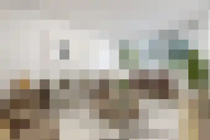 De Koel 31 Klazienaveen thumbnail 7