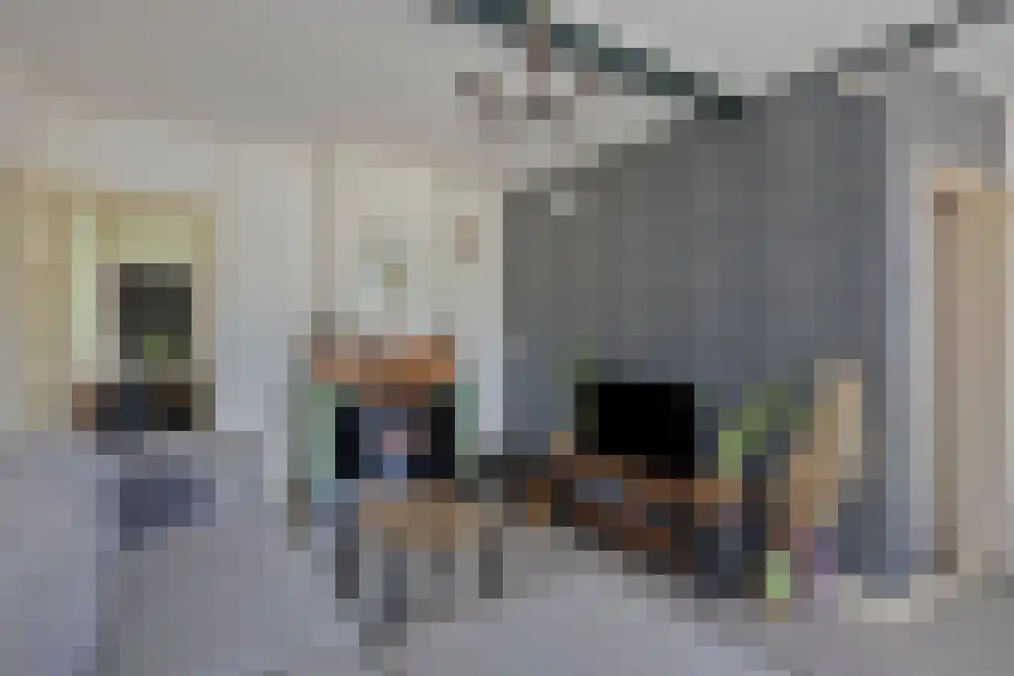 De Koeldert 13 Waardenburg thumbnail 18