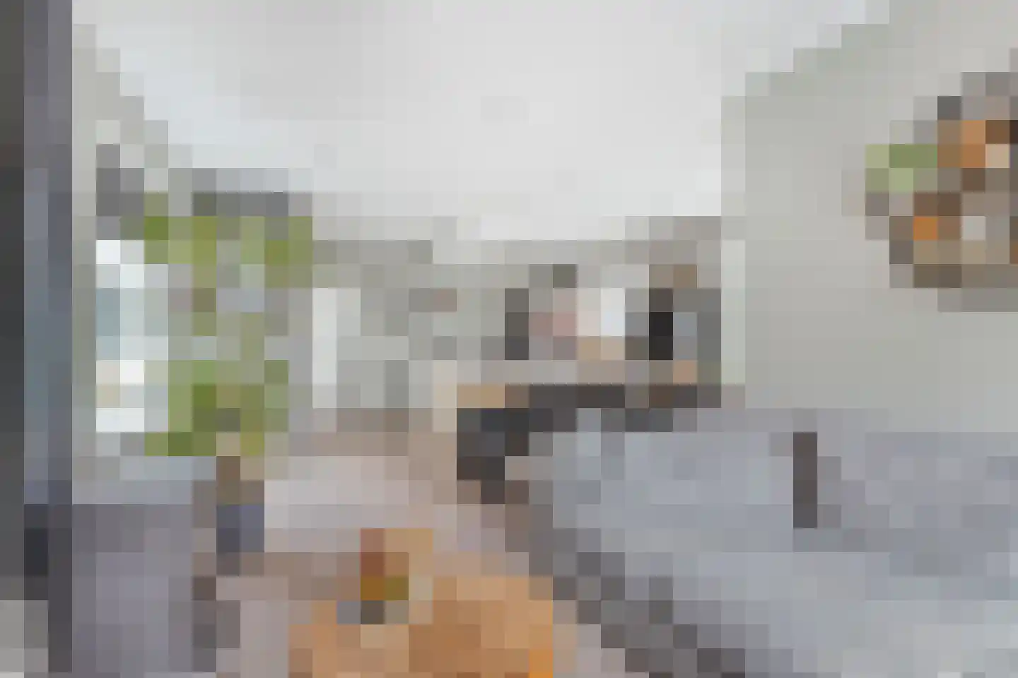 De Koeldert 20 Waardenburg thumbnail 10