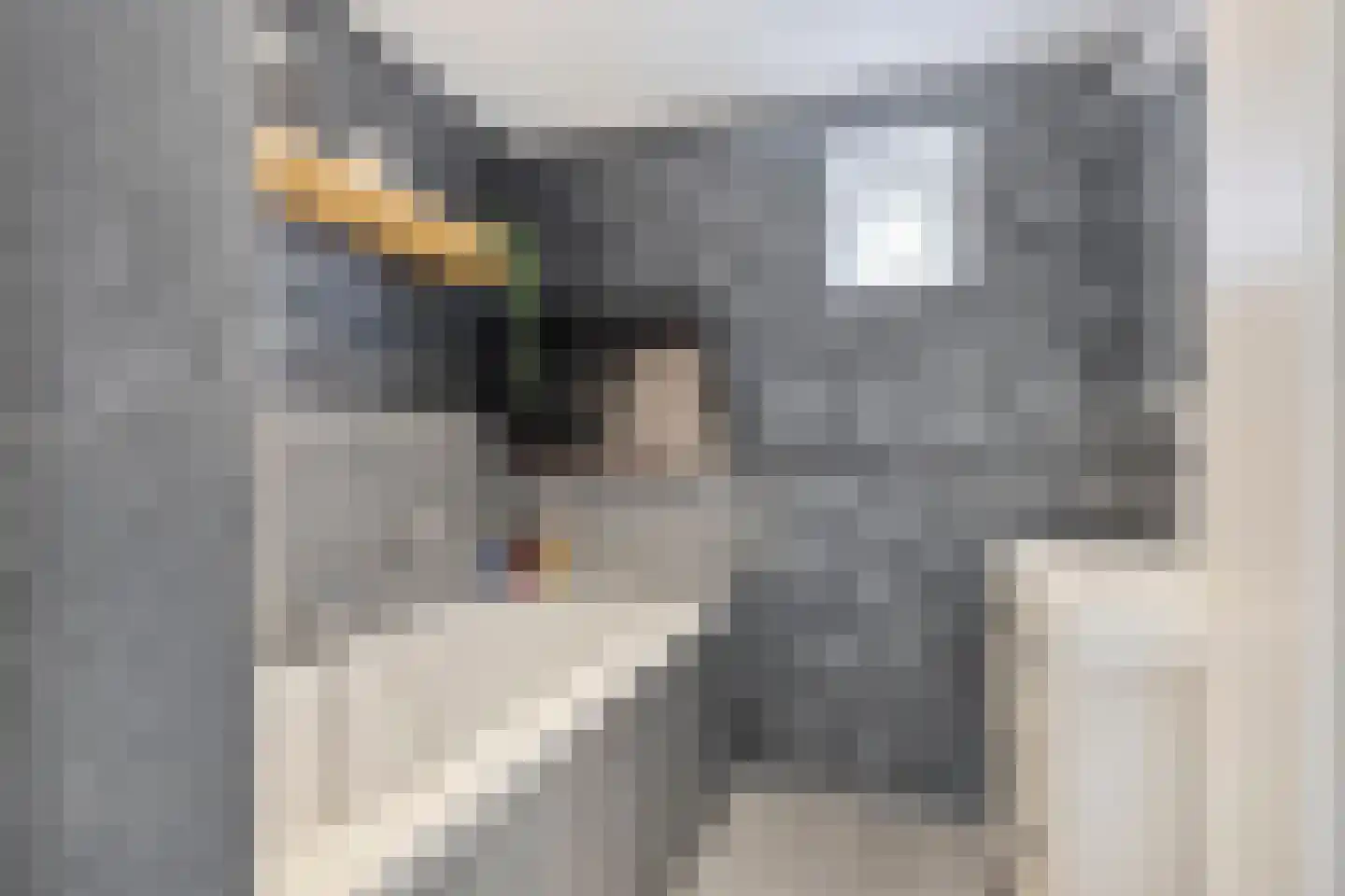 De Koeldert 20 Waardenburg thumbnail 18