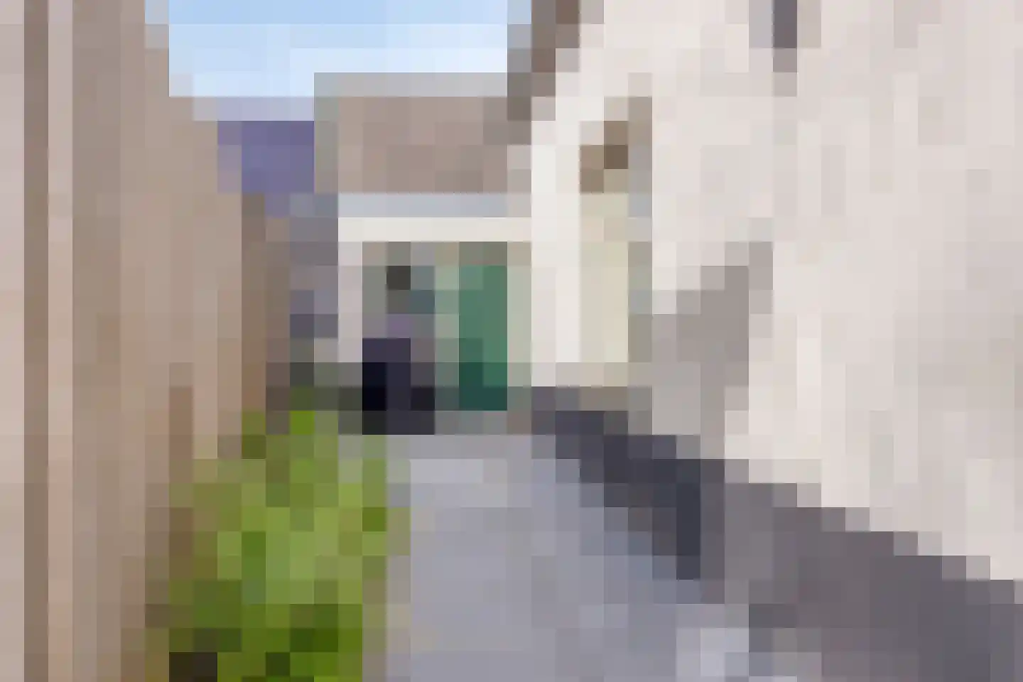 De Koeldert 20 Waardenburg thumbnail 6