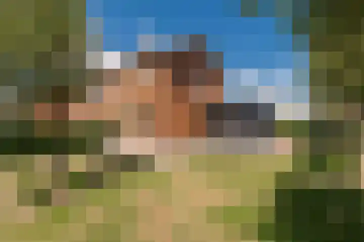 De Koeldert 4 Waardenburg
