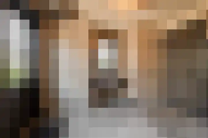 De Koeldert 4 Waardenburg thumbnail 16