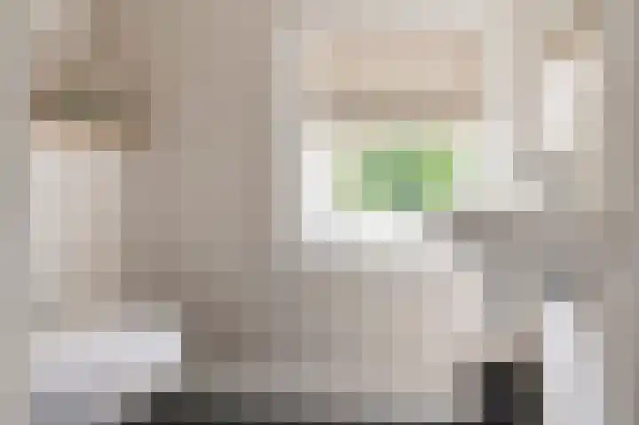 De Koeldert 4 Waardenburg thumbnail 27