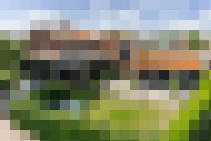 De Koeldert 4 Waardenburg thumbnail 33
