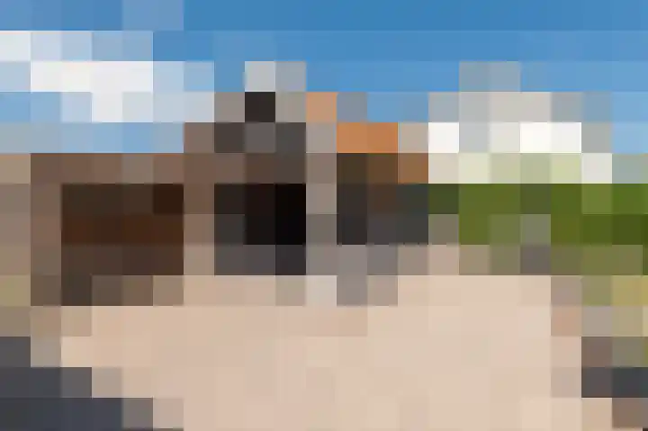 De Koeldert 4 Waardenburg thumbnail 36