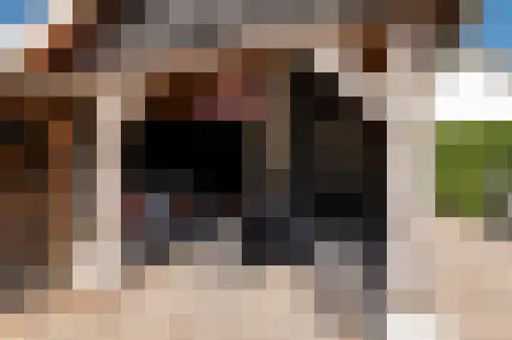 De Koeldert 4 Waardenburg thumbnail 37