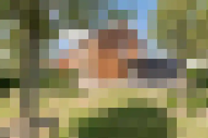 De Koeldert 4 Waardenburg thumbnail 40