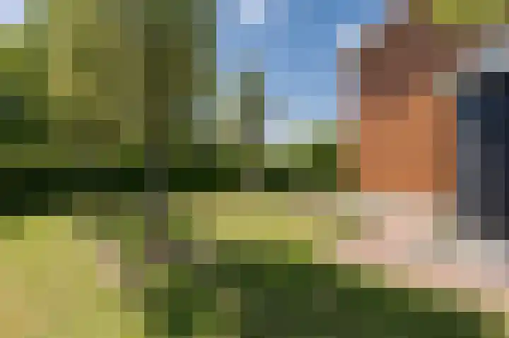 De Koeldert 4 Waardenburg thumbnail 41