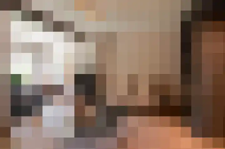 De Koeldert 4 Waardenburg thumbnail 6