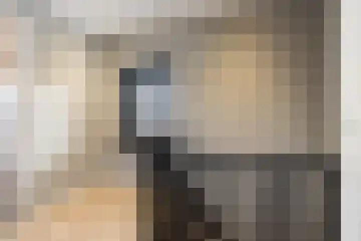 De Koeldert 8 Waardenburg thumbnail 34