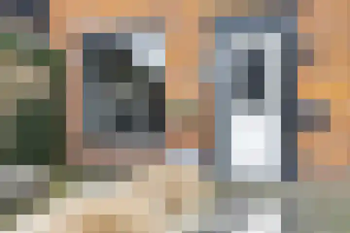 De Koeldert 8 Waardenburg thumbnail 56