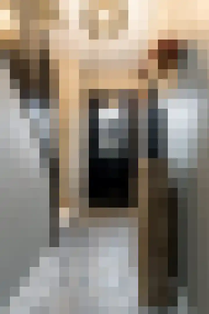 De Koeldert 8 Waardenburg thumbnail 7