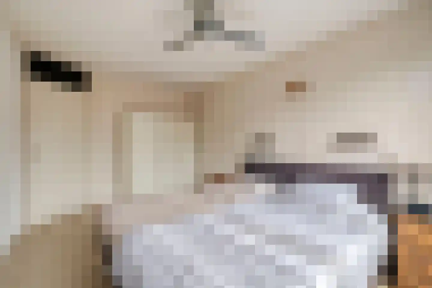 De Koets 10 Biddinghuizen thumbnail 20