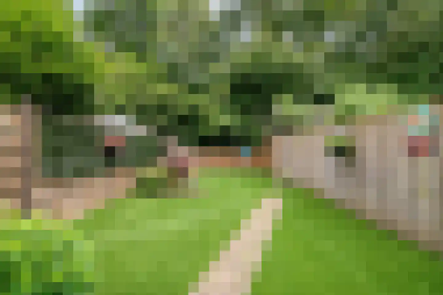 De Koets 10 Biddinghuizen thumbnail 33