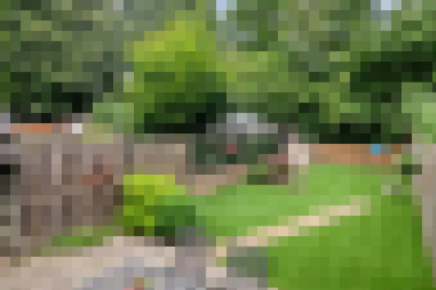 De Koets 10 Biddinghuizen thumbnail 34
