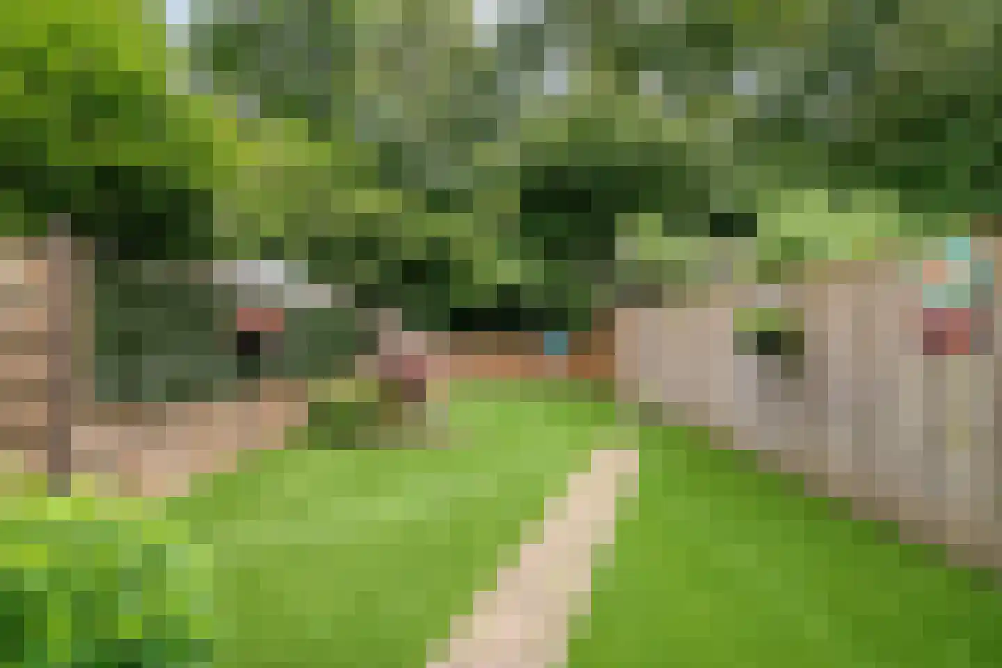 De Koets 10 Biddinghuizen thumbnail 4