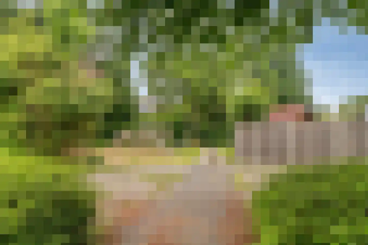 De Koets 10 Biddinghuizen thumbnail 44