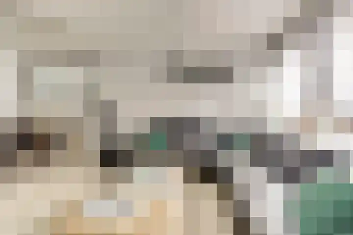 De Koets 19 Biddinghuizen thumbnail 14