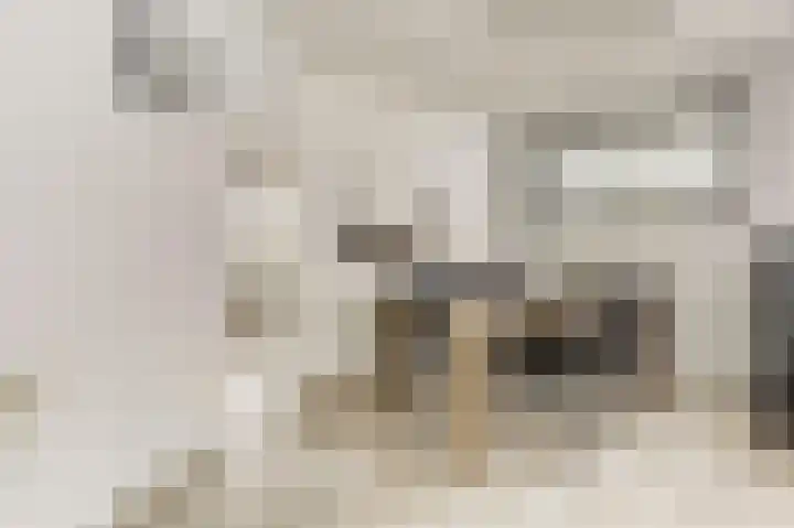 De Koets 19 Biddinghuizen thumbnail 16
