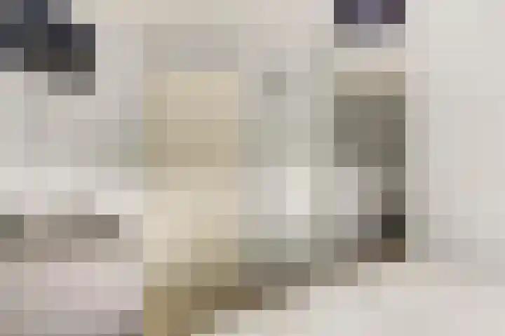 De Koets 19 Biddinghuizen thumbnail 19