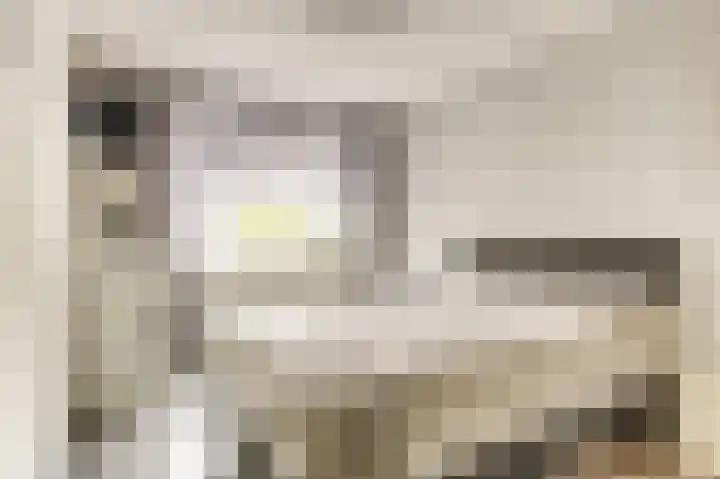 De Koets 19 Biddinghuizen thumbnail 20