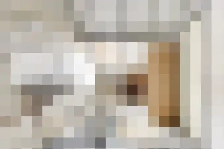 De Koets 19 Biddinghuizen thumbnail 26
