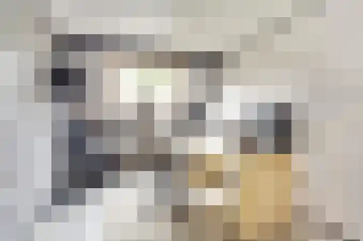 De Koets 19 Biddinghuizen thumbnail 28