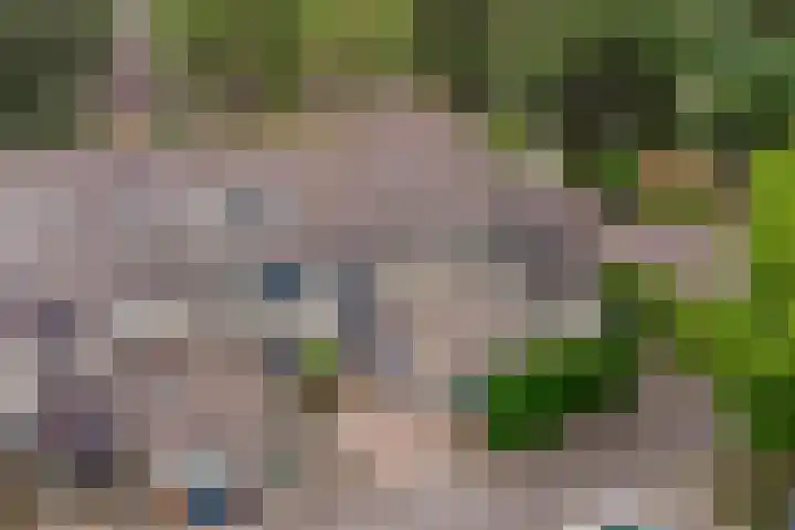 De Koets 19 Biddinghuizen thumbnail 31