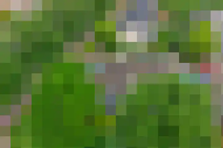 De Koets 19 Biddinghuizen thumbnail 32
