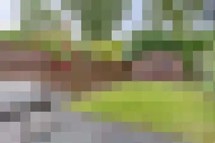 De Koets 19 Biddinghuizen thumbnail 35