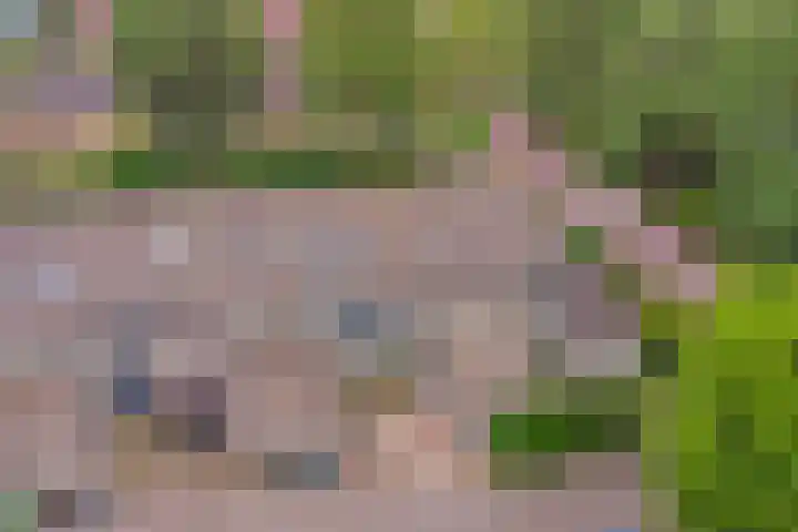 De Koets 19 Biddinghuizen thumbnail 36