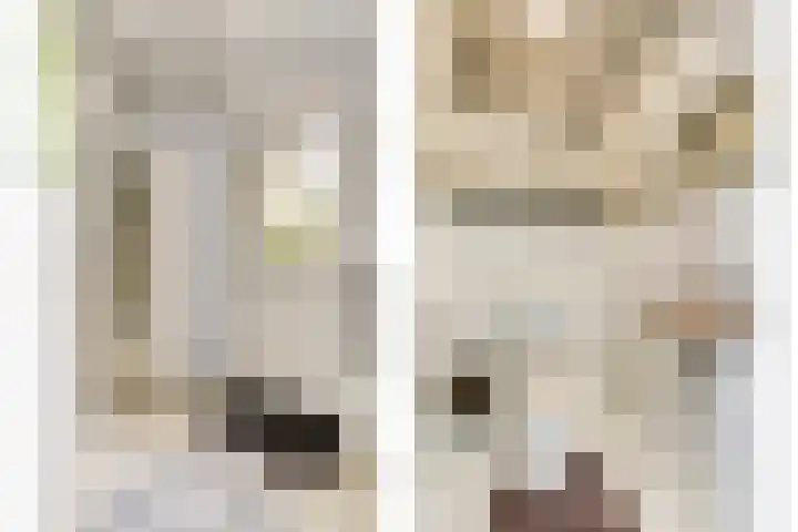 De Koets 19 Biddinghuizen thumbnail 6