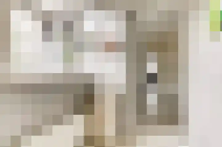 De Koets 19 Biddinghuizen thumbnail 7