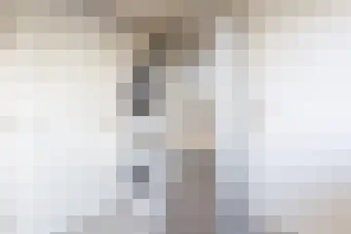 De Koffe 6 IJlst thumbnail 19