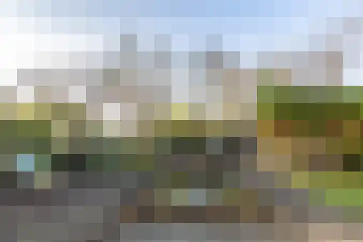 De Koffe 6 IJlst thumbnail 35