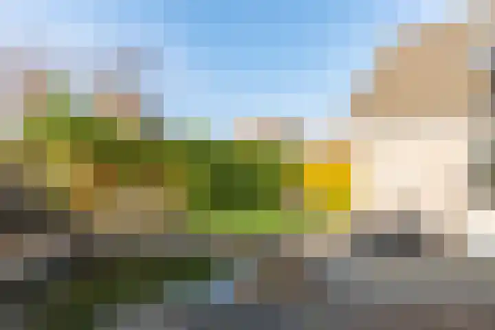 De Koffe 6 IJlst thumbnail 37