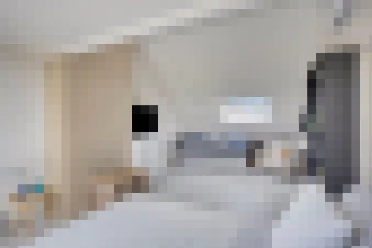 de Kogge 12 Muiden thumbnail 31